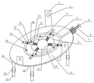 In-vitro eyeball fixing device with adjustable size