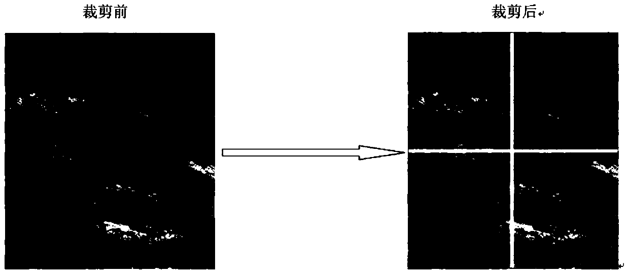 Trunk texture recognition method based on four-channel convolutional neural network