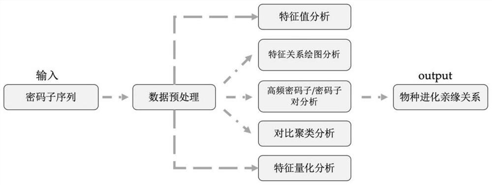 Rutaceae multi-species codon usage pattern analysis method and system