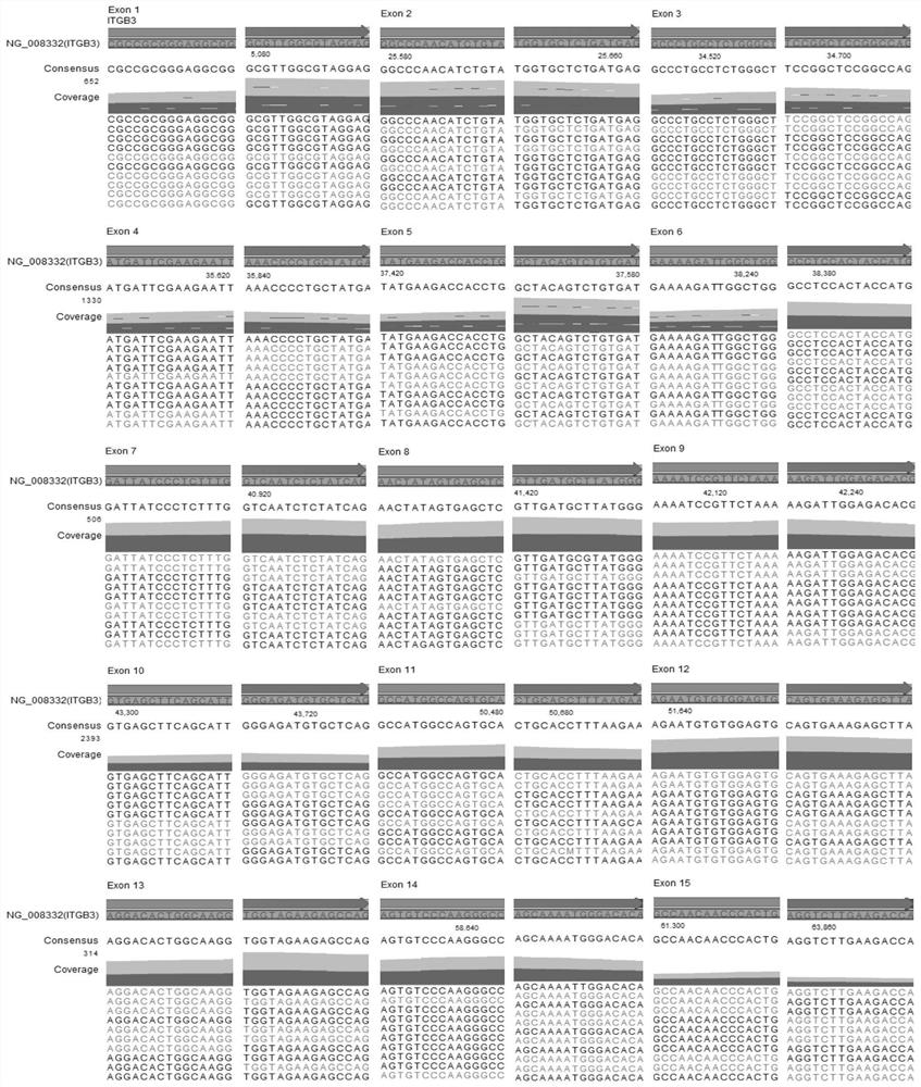 Synchronous detection kit and method for HPA and HLA antigen systems