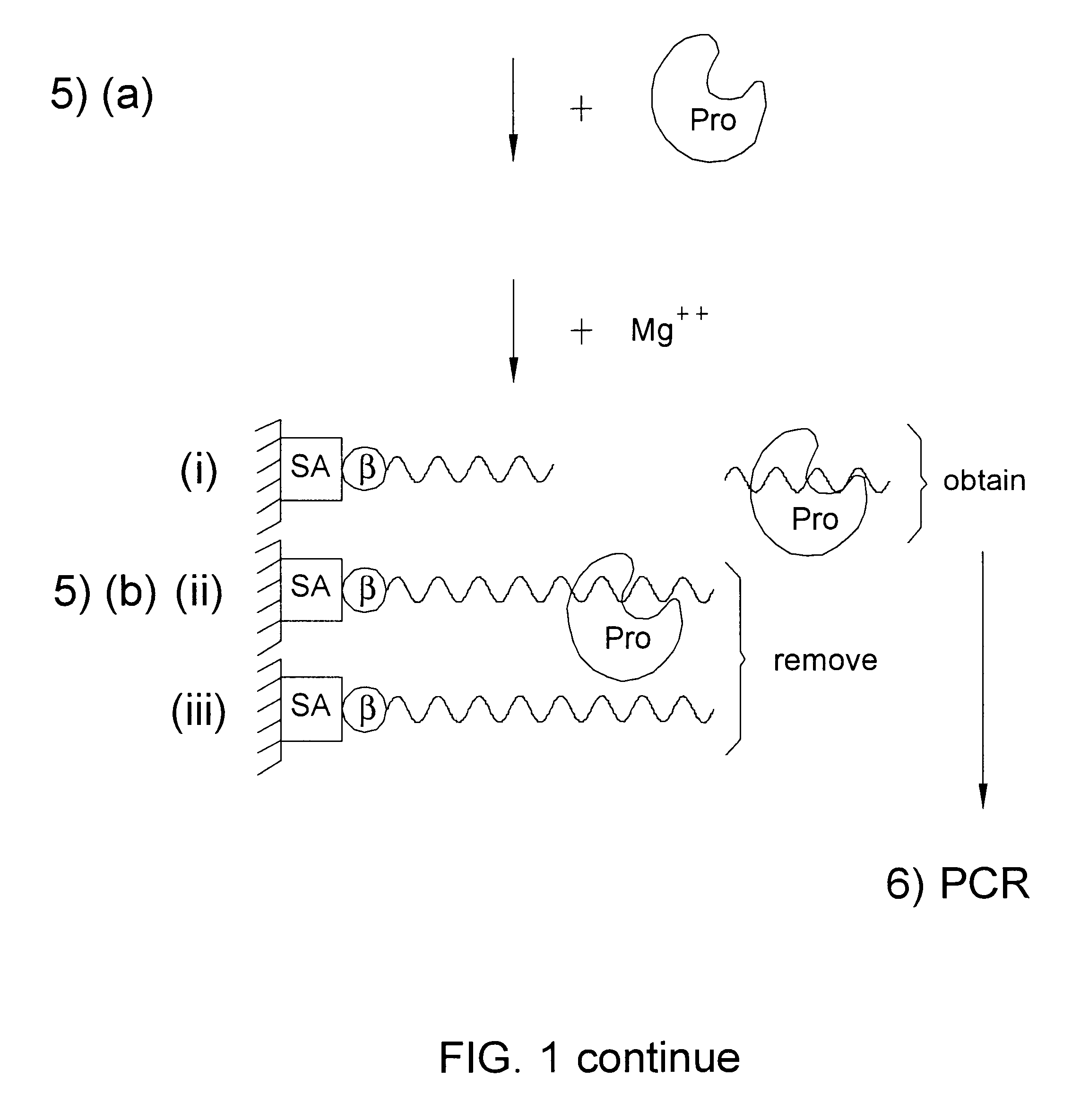 Catalytic nucleic acid and methods of use