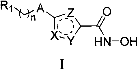 Hydroxamic acid-containing substituted heterocyclic compound as well as preparation method and application thereof