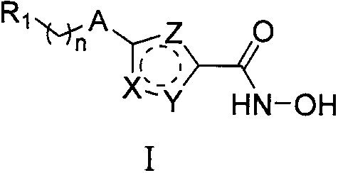 Hydroxamic acid-containing substituted heterocyclic compound as well as preparation method and application thereof