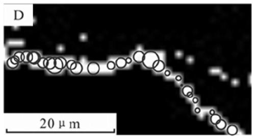 Statistical method for reservoir fractures and machine readable storage medium