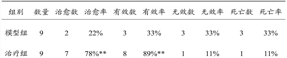 Medicine for treating rheumatoid bone diseases and preparation method thereof