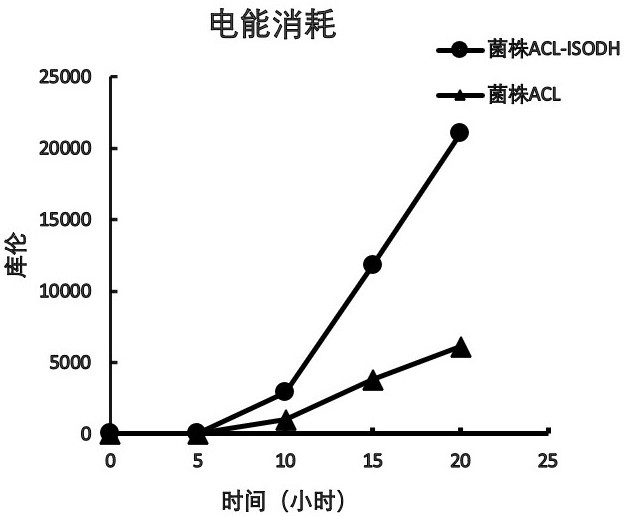 Utilize electrical energy to fix co  <sub>2</sub> And engineering bacteria for synthesizing isopropanol and construction method