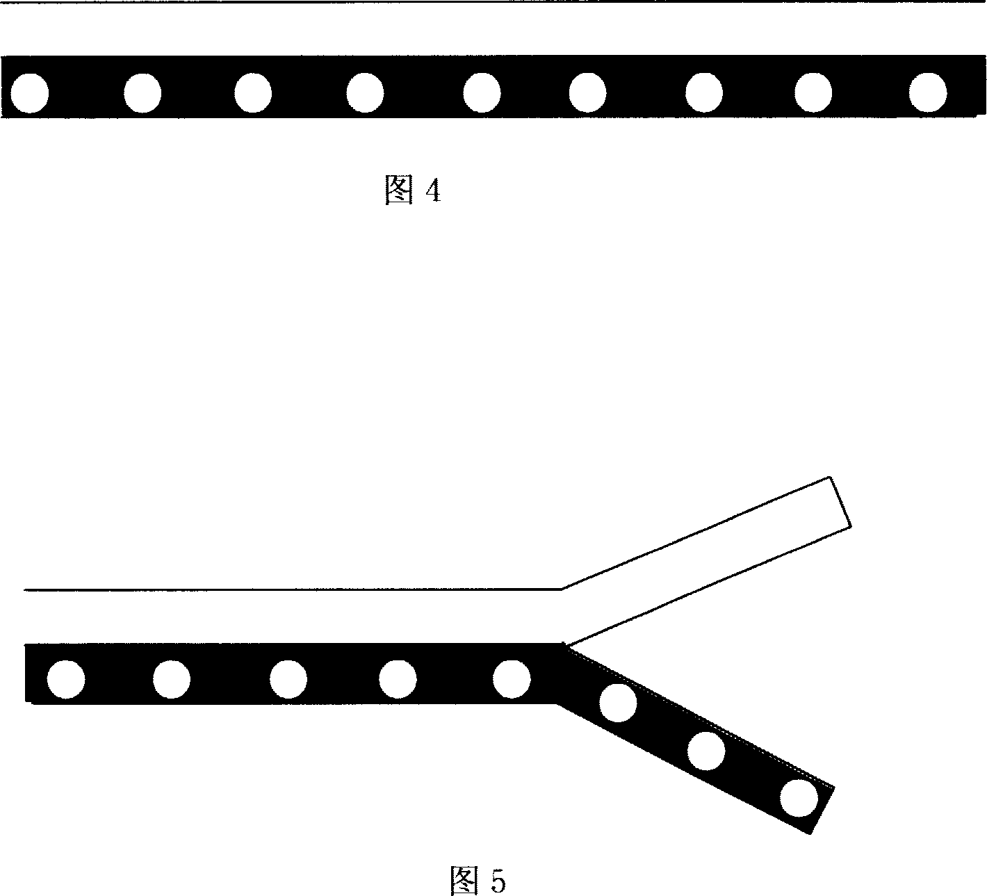 Micro channel electrode and miniflow control analysis chip