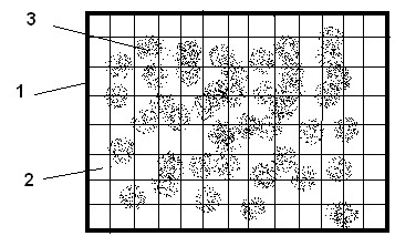 Device for synchronously measuring granularity of dynamic light scattering nanometer particles of multi-particles and method thereof