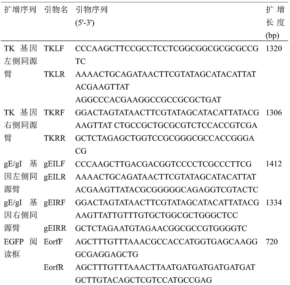 Recombinant porcine pseudorabies virus TK/gE/gI three-gene-deleted vaccine