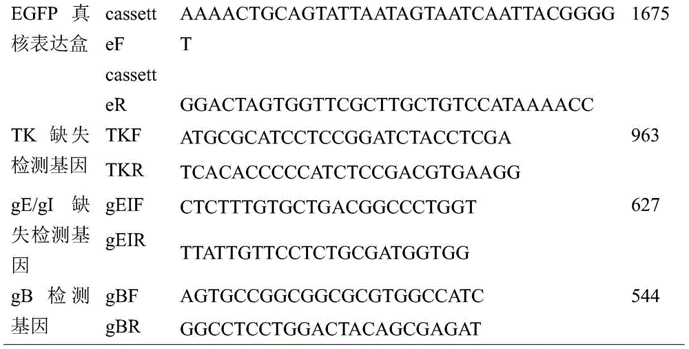 Recombinant porcine pseudorabies virus TK/gE/gI three-gene-deleted vaccine