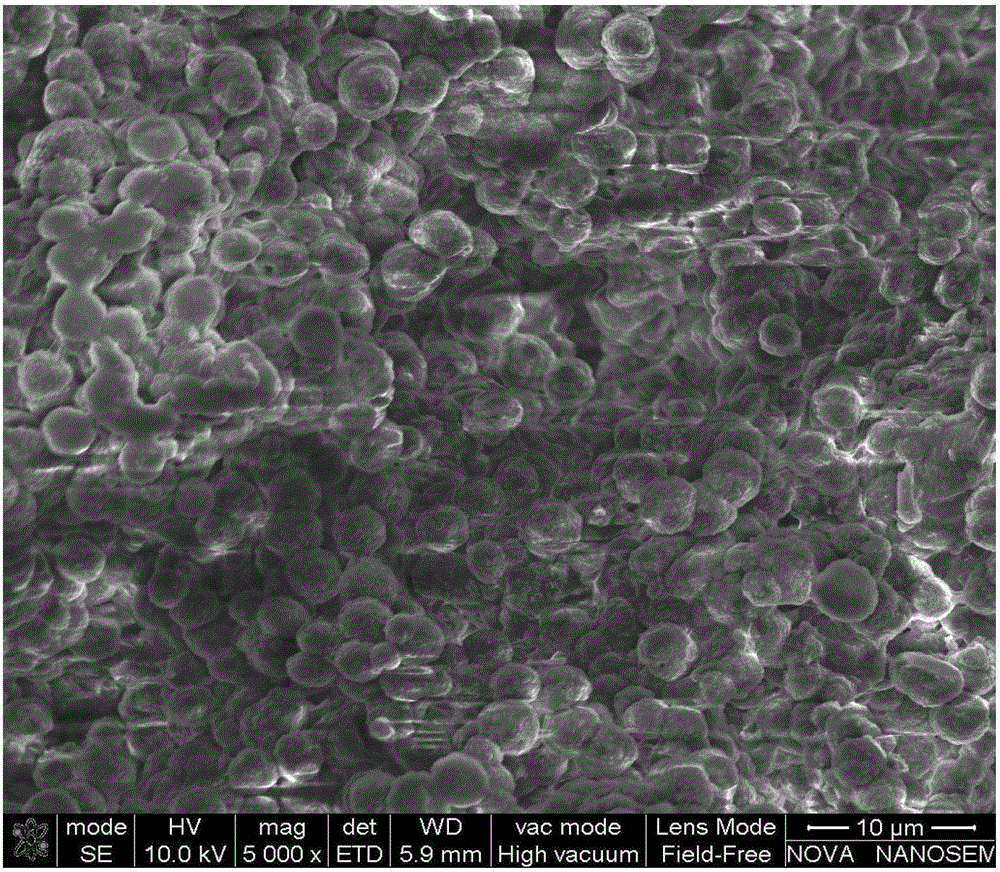 Dynamically vulcanized fluoroplastic/fluororubber/silicone rubber thermoplastic elastomer and preparation method thereof