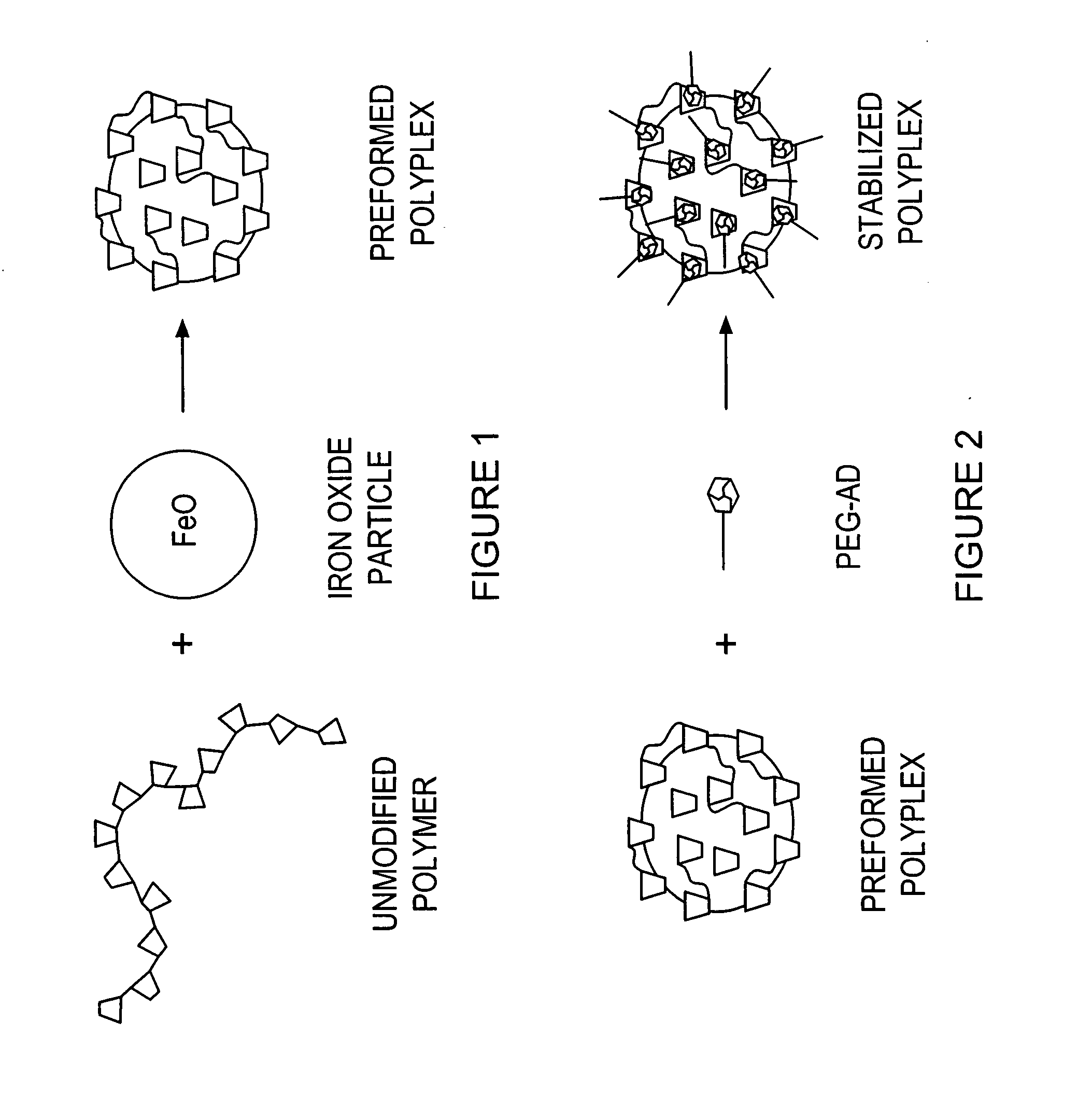 Polymer-coated paramagnetic particles