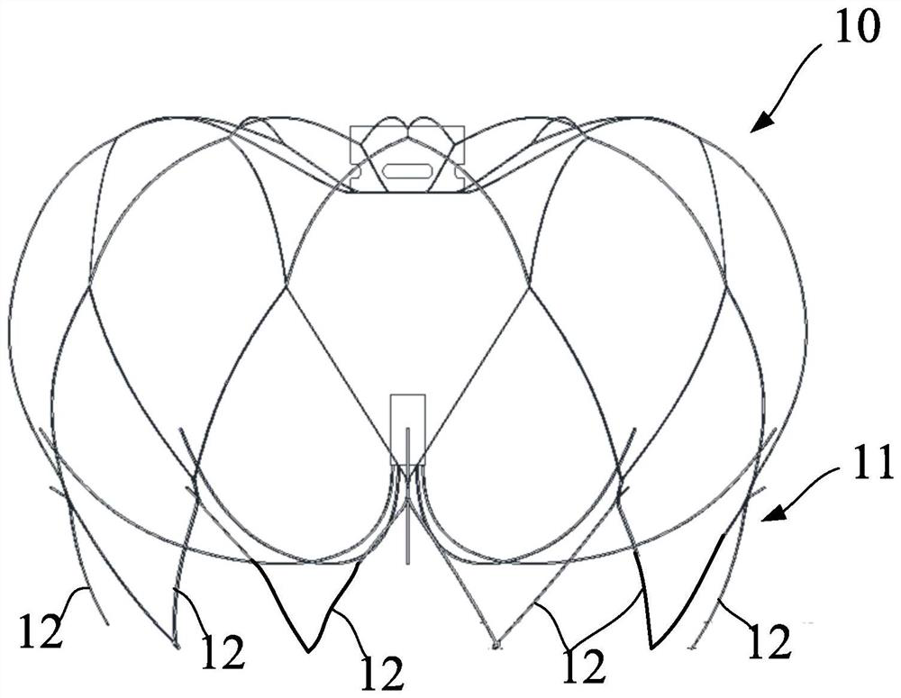 Stent for plugging body cavity and left auricle plugging device