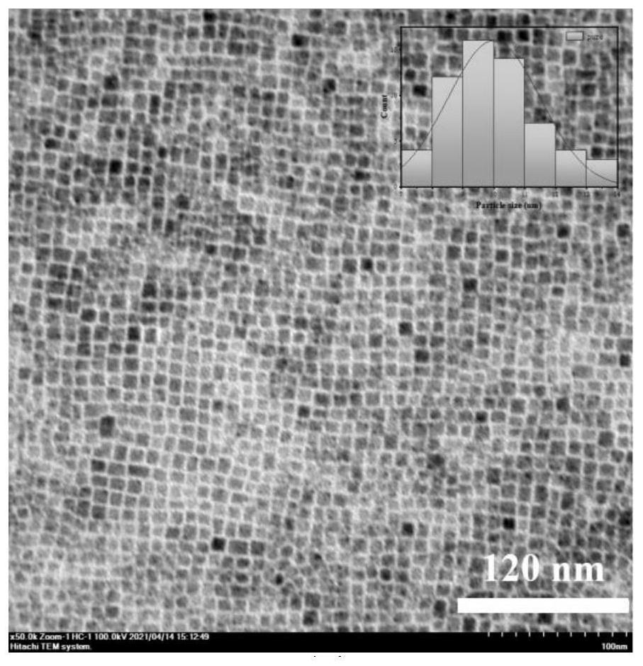 A kind of preparation method of perovskite nano rod