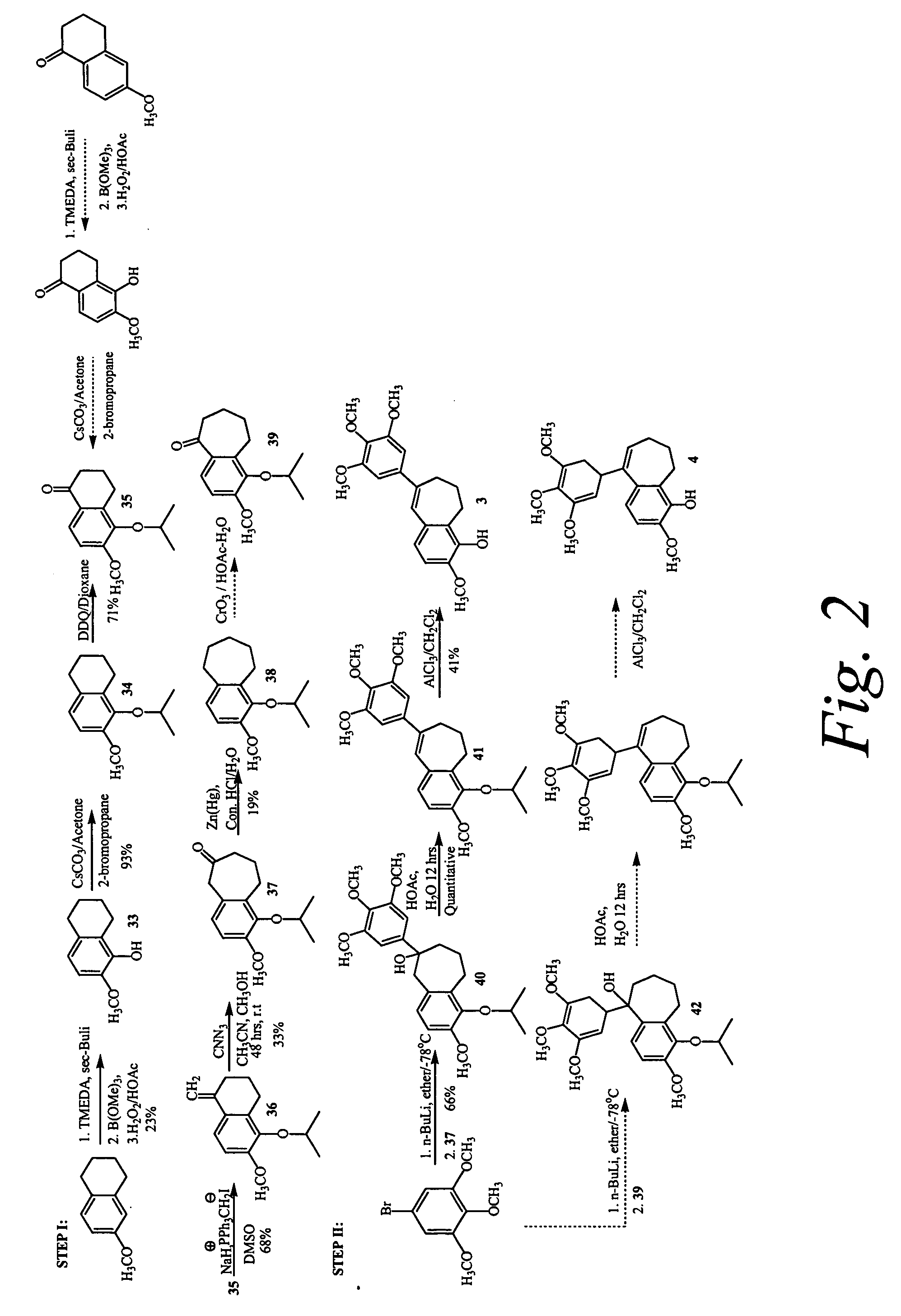 Combretastatin analogs with tubulin binding activity