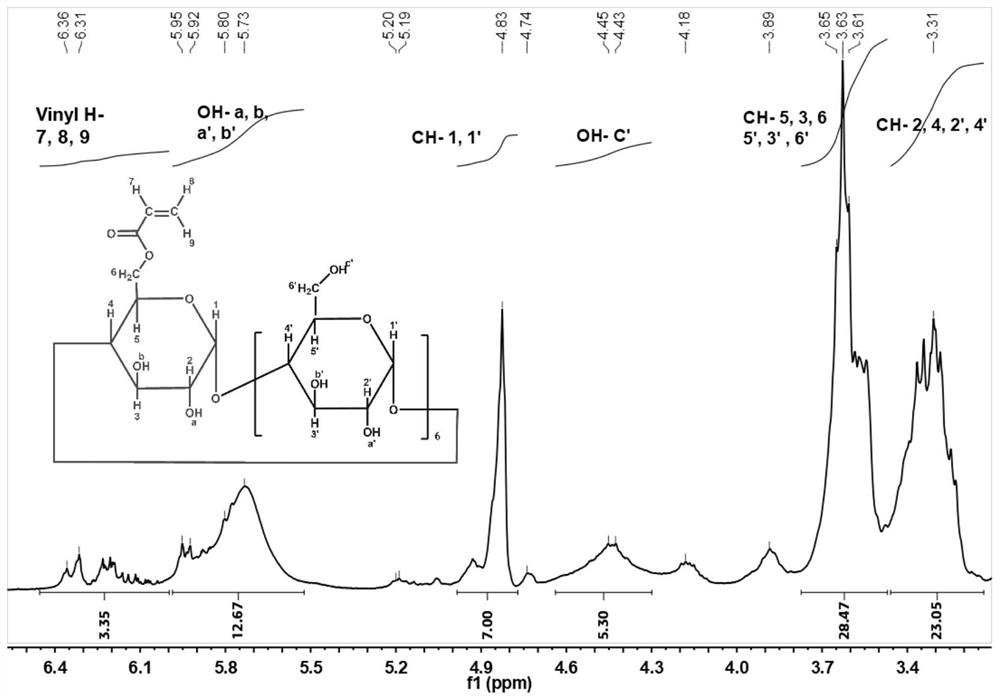 Host-guest supramolecular hydrogel induced by visible light in situ polymerization and preparation method and application thereof