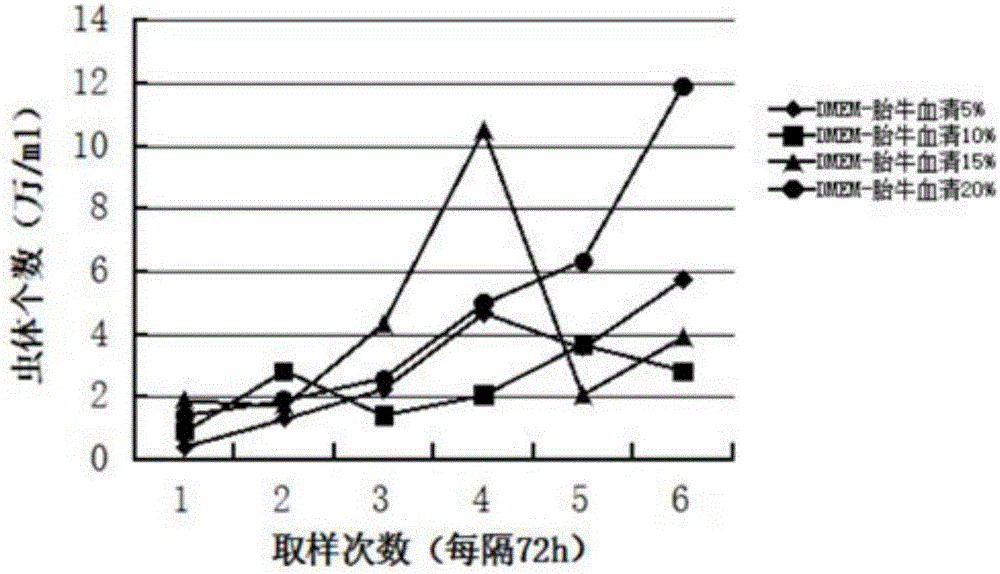 Method for culturing myxobolus in vitro