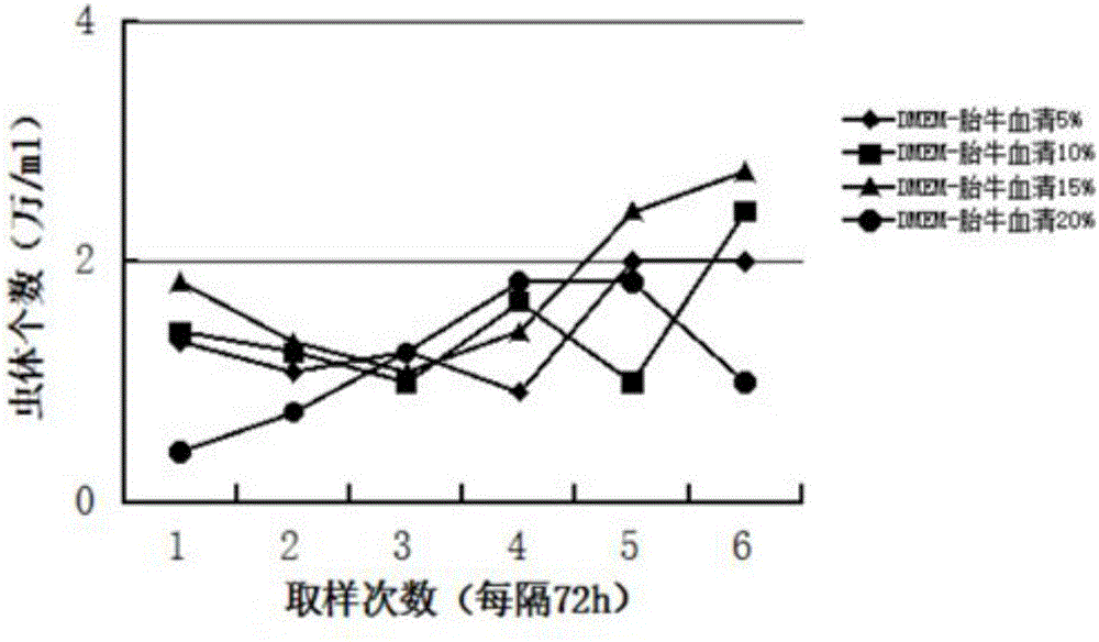 Method for culturing myxobolus in vitro