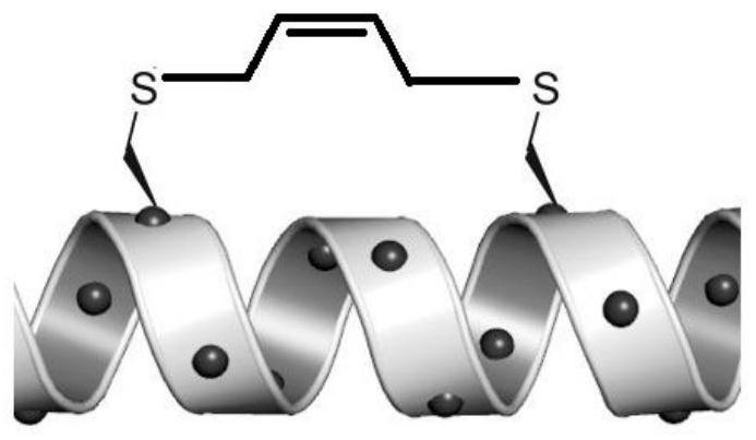 A kind of olefin thioether staple peptide and its preparation method and application