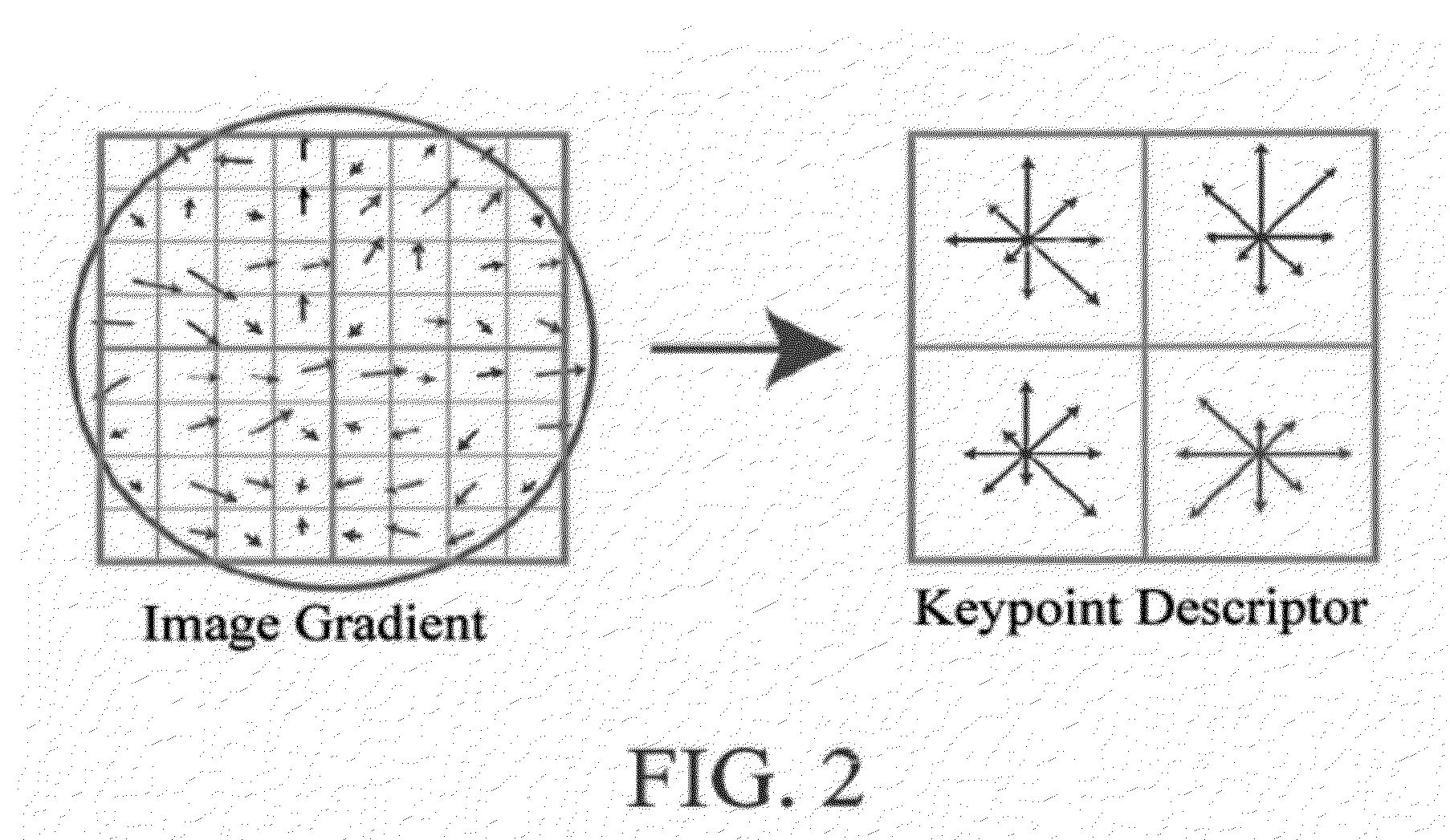 Method for recognizing the identity of user by biometrics of palm vein