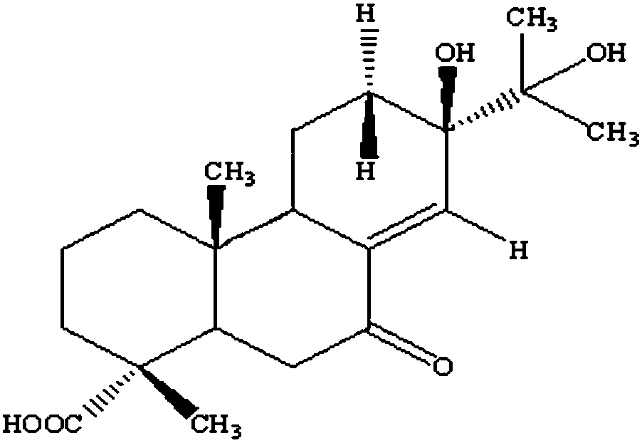 Extraction and separation method of red pinecone essential oil and red pine diterpenoic acid A