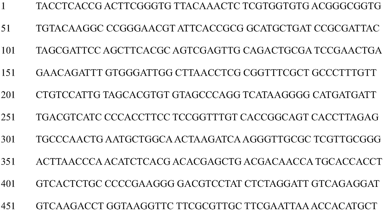 A Broad Spectrum Antifungal Bacillus and Its Application in Controlling Wheat Scab