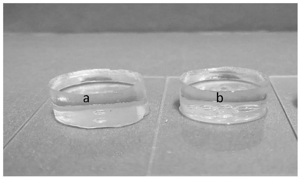 A kind of s-nitrosothiol/polysaccharide-based in-situ forming hydrogel and its preparation method and application