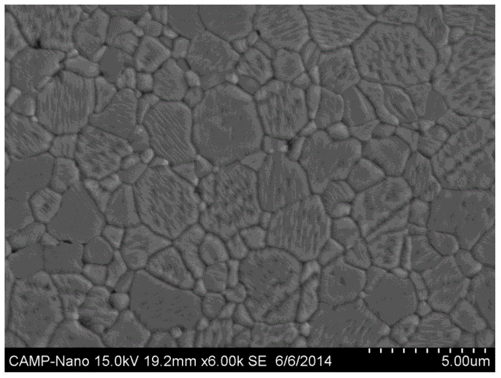 Preparation method of Ba(0.9-x)Sr0.1MgxTiO3 temperature-stable lead-free ceramic