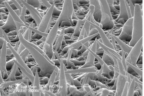 Method for preparing acicular and fungiform Bi2O3 nano materials