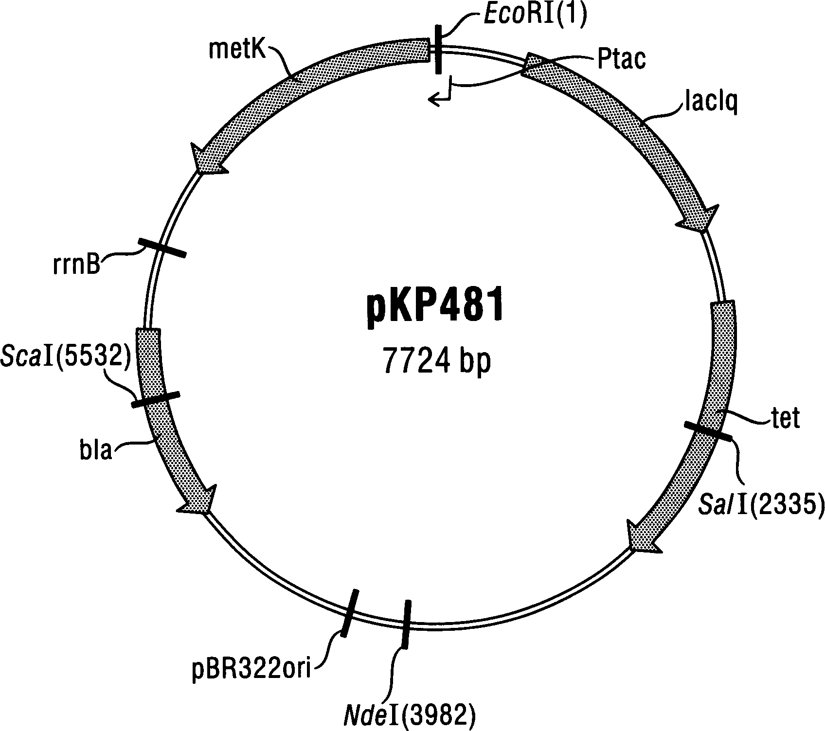 Method for fermentatively producing s-adenosylmethionine