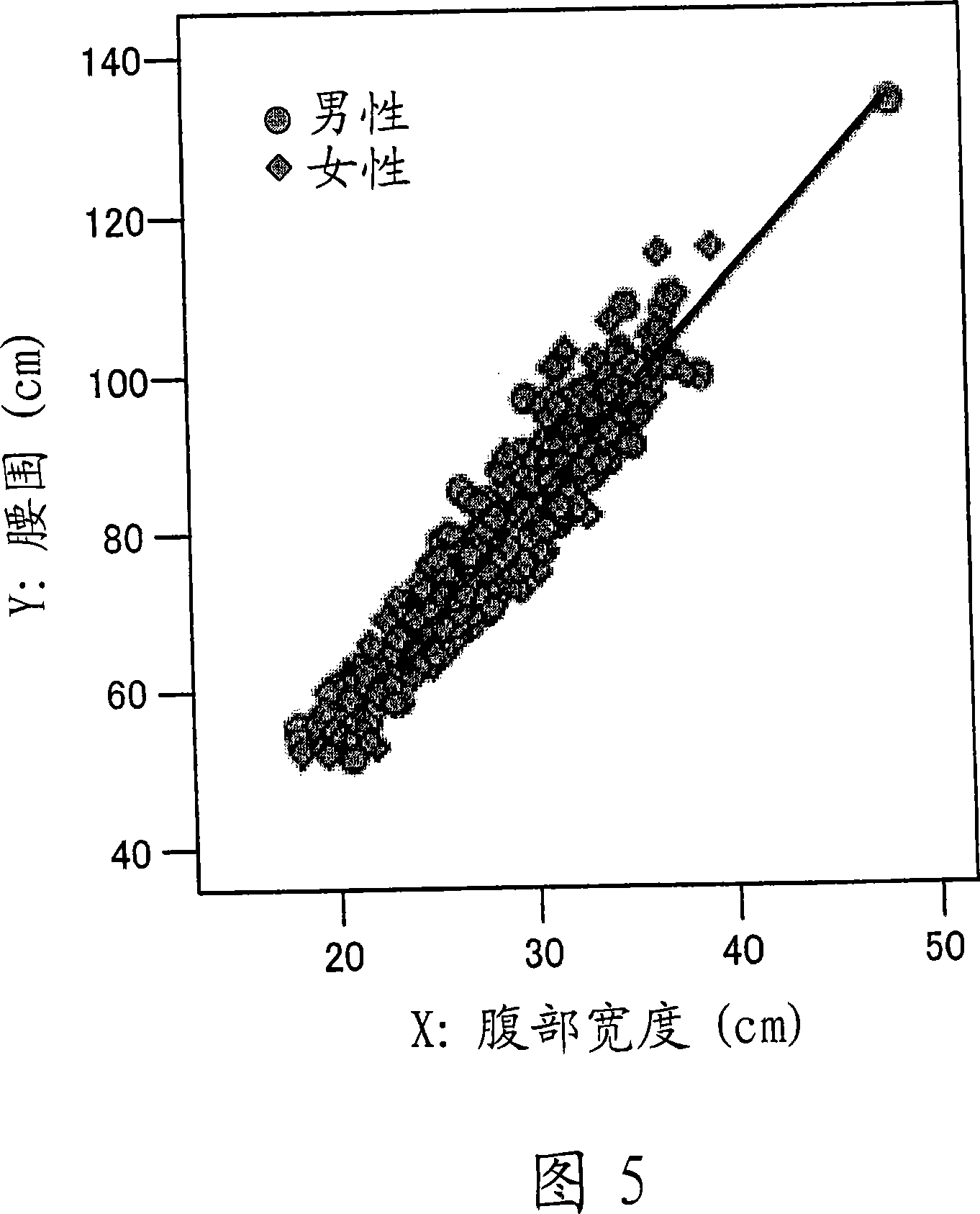 Waist circumference calculation apparatus and body composition determination apparatus