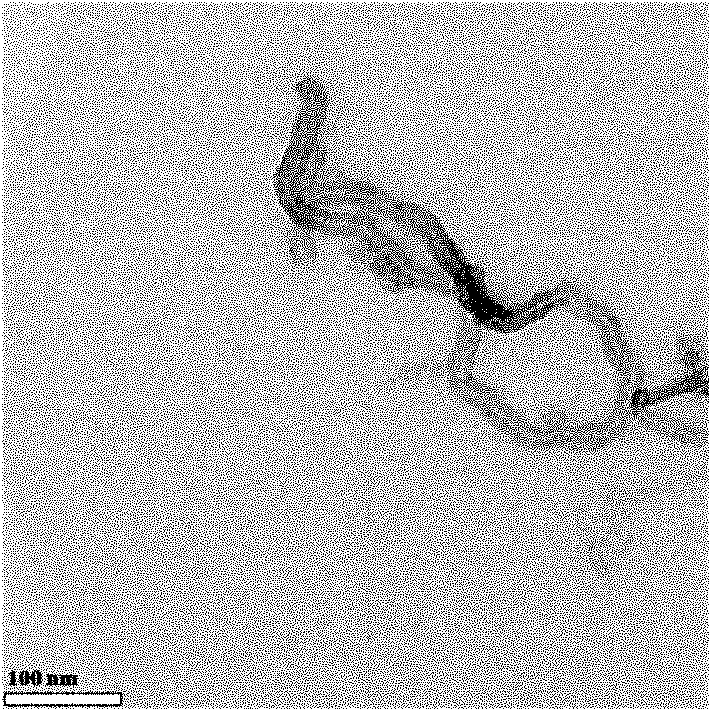 Method for preparing carbon nanotube by use of biodegradable plastic