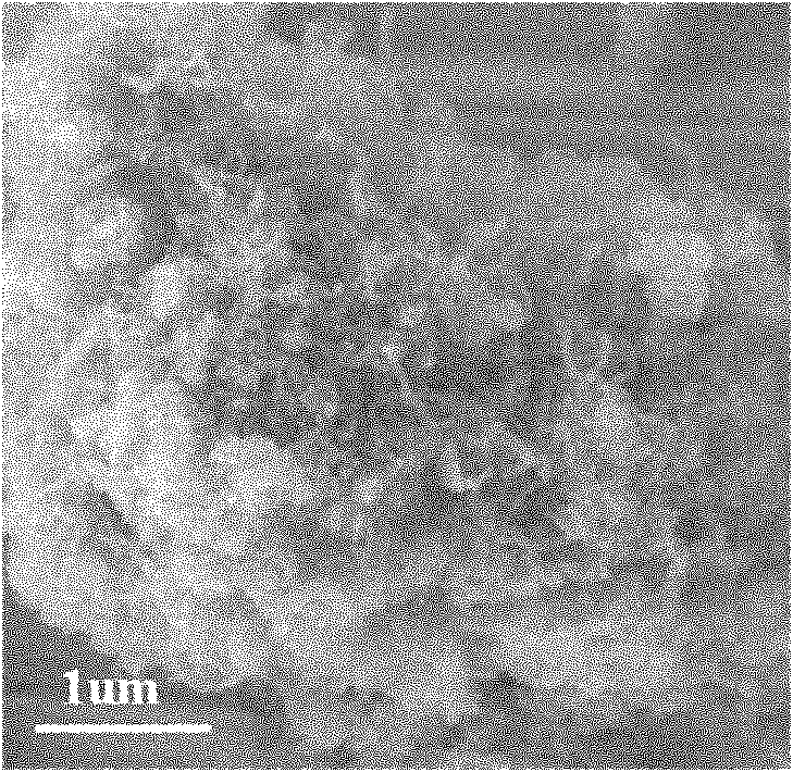 Method for preparing carbon nanotube by use of biodegradable plastic