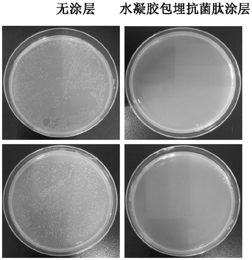 Biomedical coating with excellent long-acting anticoagulation, antibacterial and anti-fouling performances and preparation method thereof