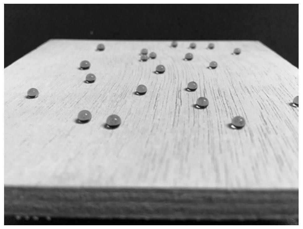 Preparation method of room temperature curing wood multifunctional modifier and wood modification method