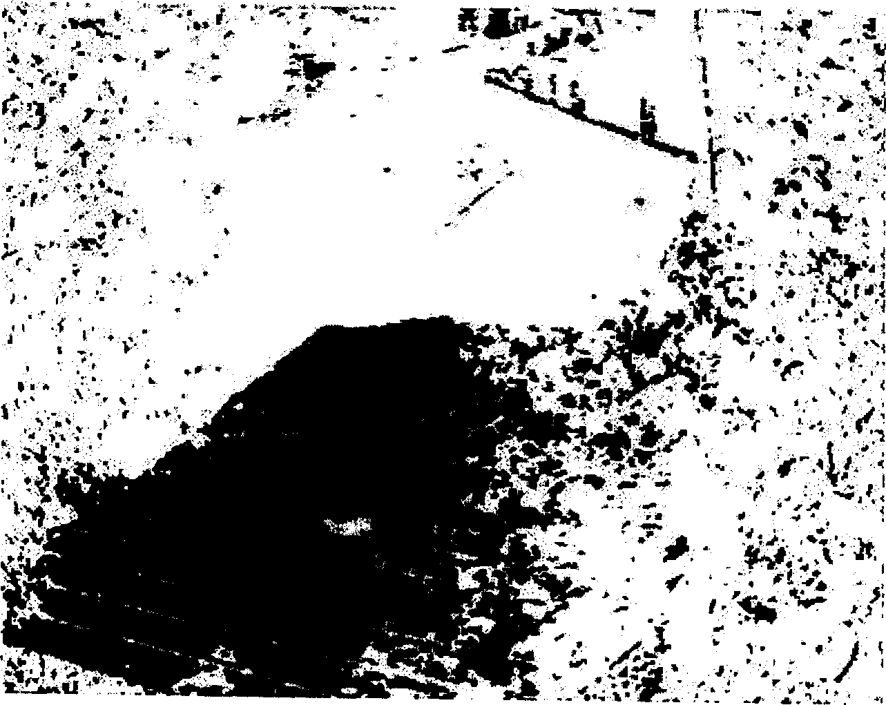 Shadow zone cutting method of two-dimensional color scene