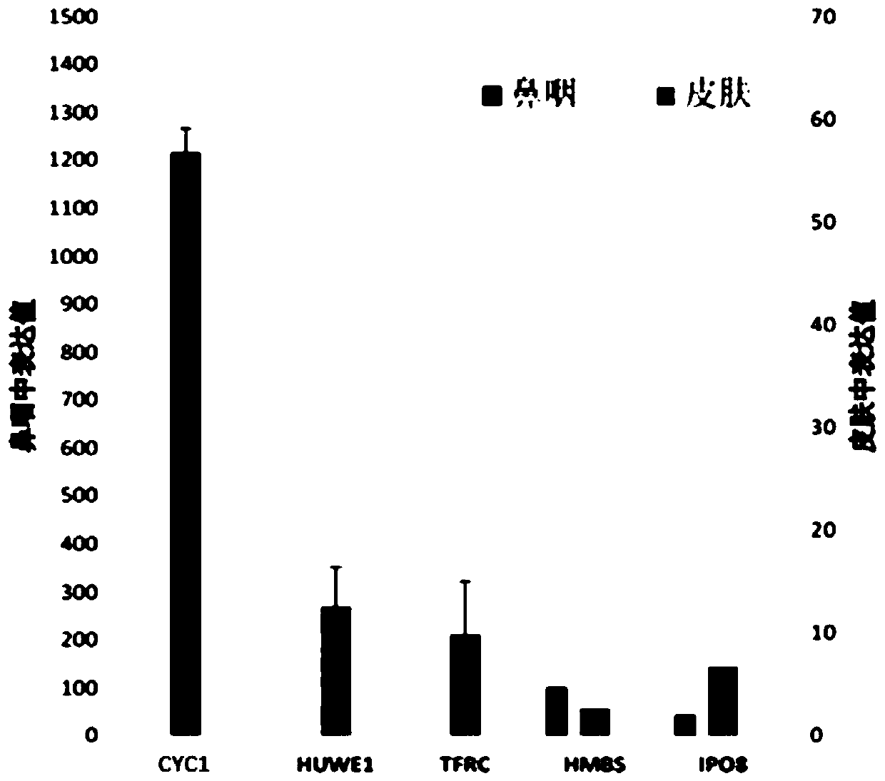 Reference gene for respiratory tract RNA virus PCR detection and detection product thereof