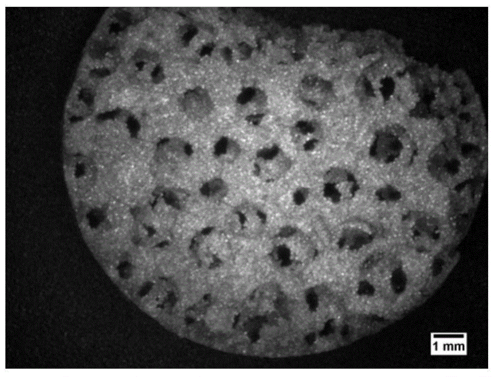 Molybdenum foam with high porosity and controllable three-dimensional through-holes and its preparation method