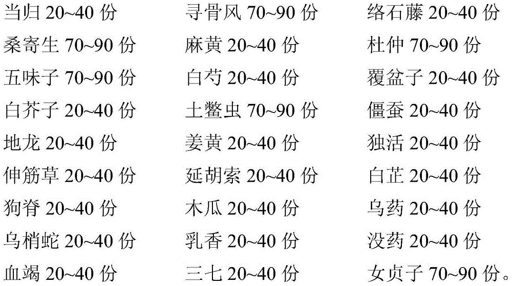 Traditional Chinese medicine composition for treating femoral head necrosis and preparation method thereof