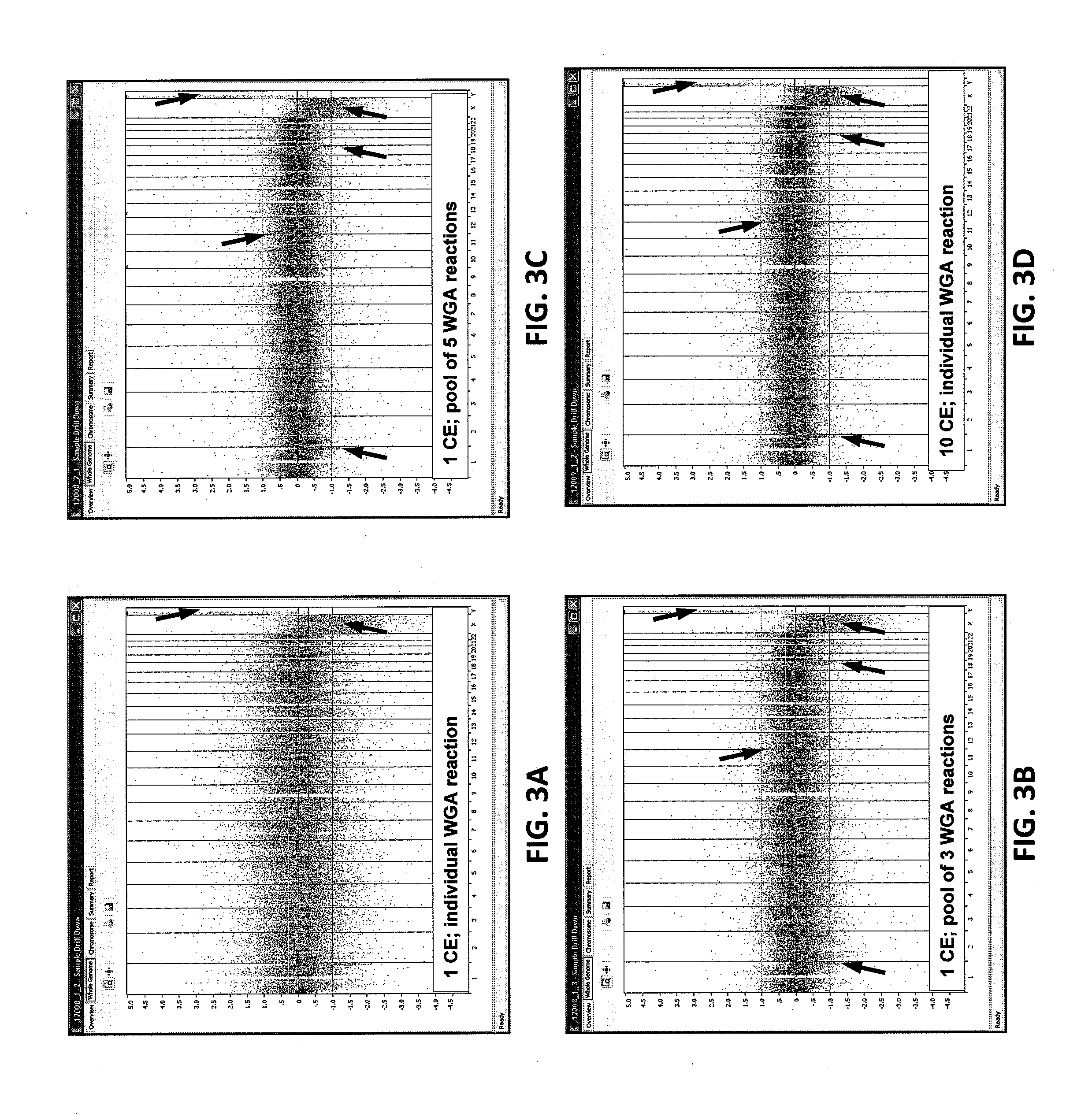 Methods and compositions for isothermal whole genome amplification