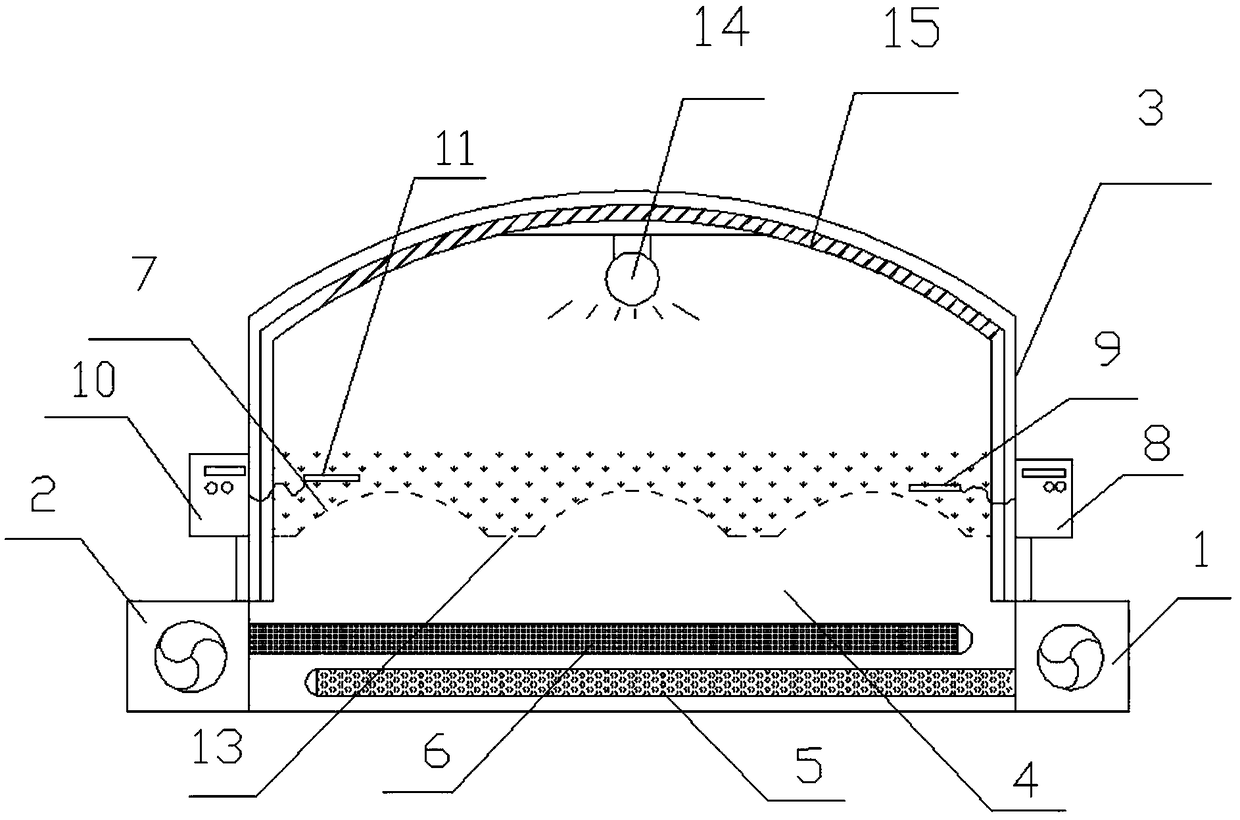 Seed germination accelerating apparatus