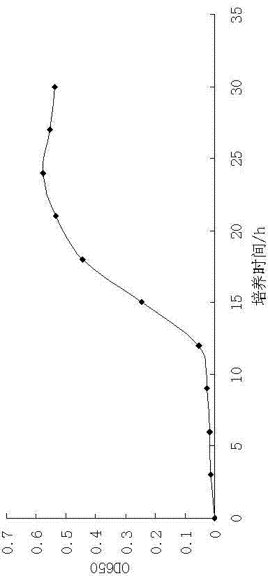 A kind of Bacillus s-2-6 and its antibacterial application