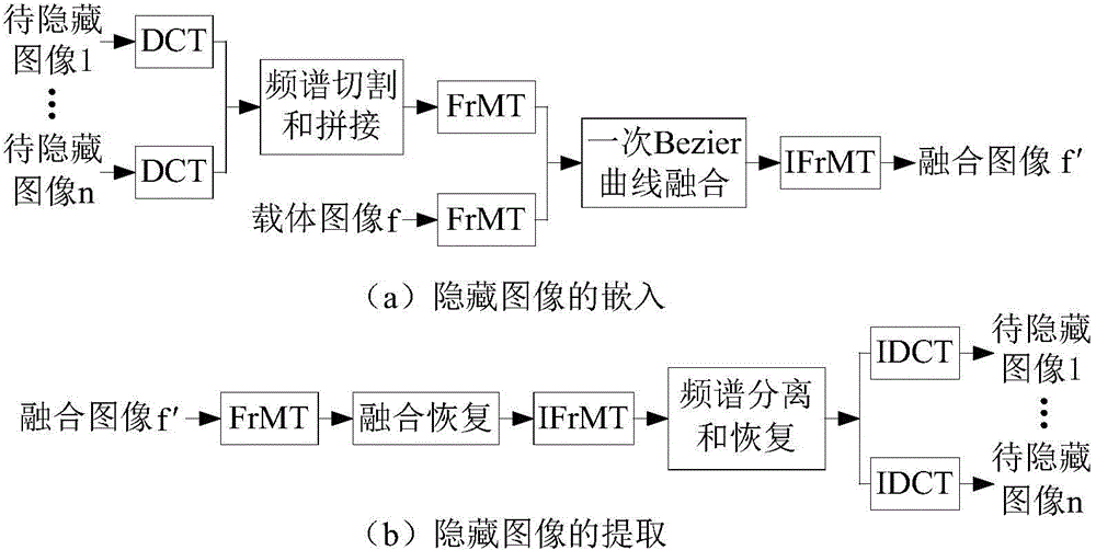 Multi-image hiding method based on fractional mellin transform