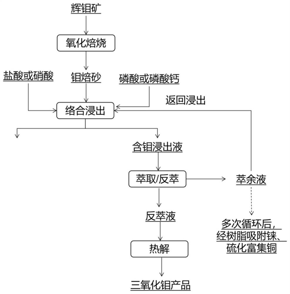 Method for recovering multiple metal elements from molybdenite based on molybdenum calcine