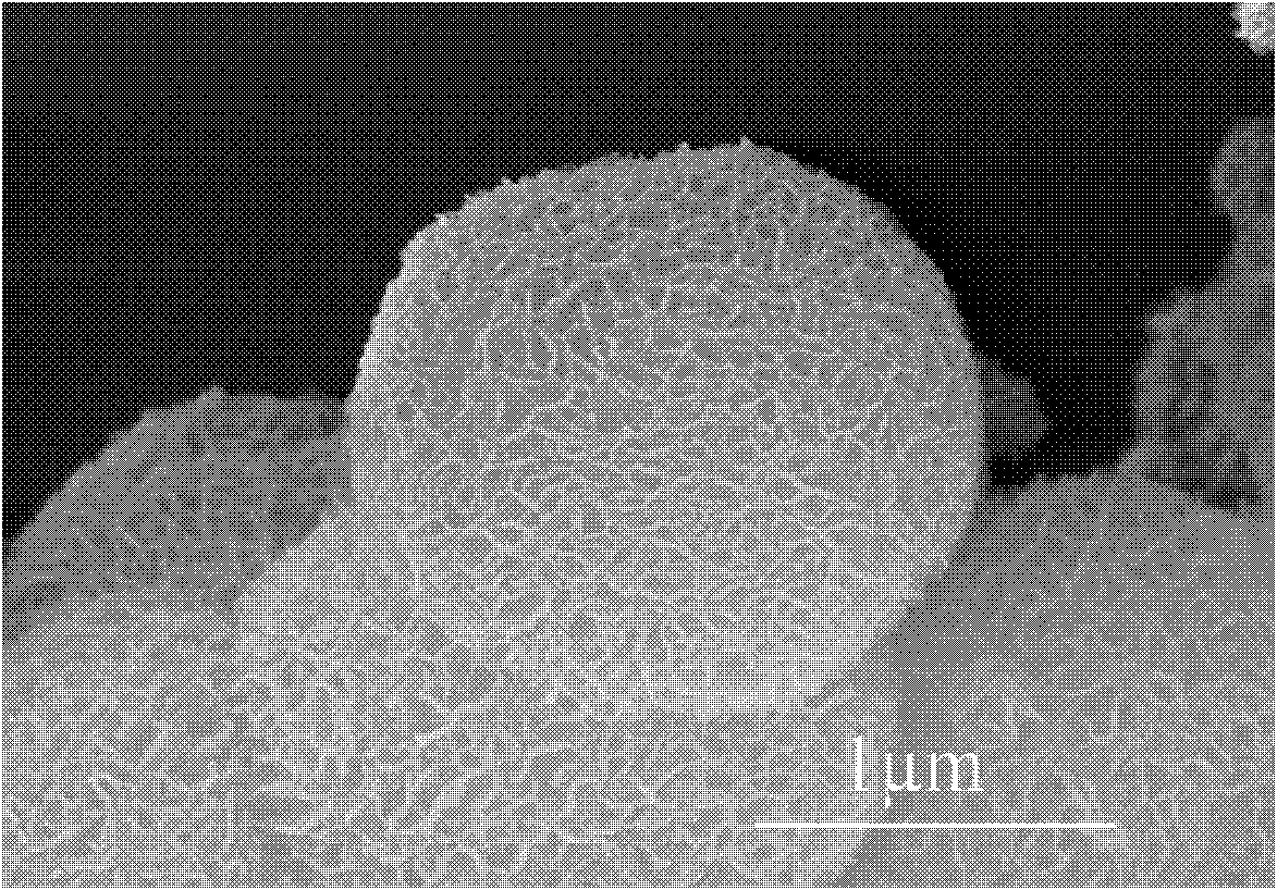 Method for preparing NiO nano flowerlike microspheres with surface topography controllable