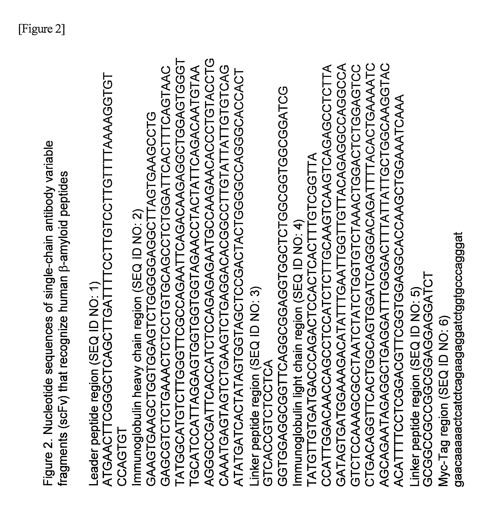 Method for producing cell medicine