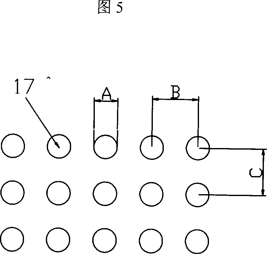 Gene chip sample applying nozzle