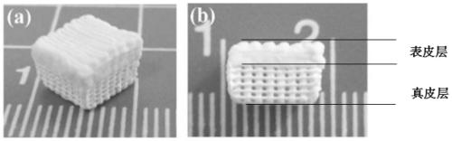 Preparation method of full-thickness skin tissue engineering scaffold with gradient pore structure