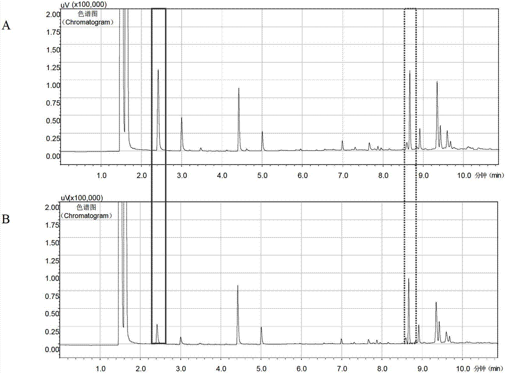 Method for producing hydrocarbons for making fuel by using sea water as medium and special strain