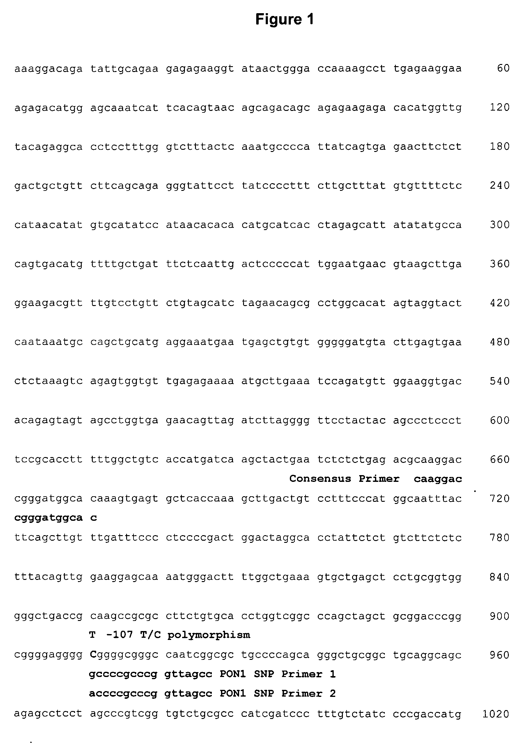 Mutation Associated With Lacunar Strokes